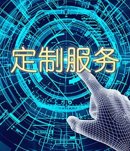 定制服务